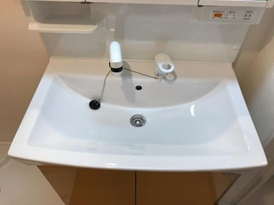 グランコスモＢの洗面所