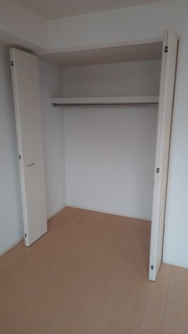 セントラルグレイスCの収納