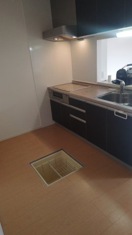 セントラルグレイスCのキッチン
