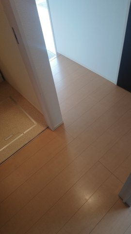 セントラルグレイスCのその他