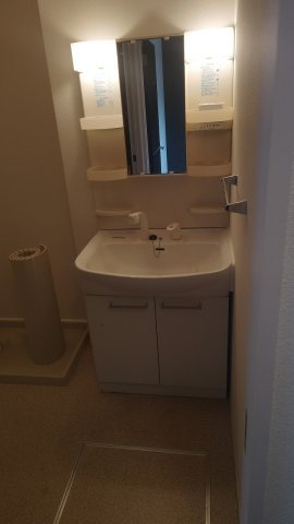 セントラルグレイスCの洗面所