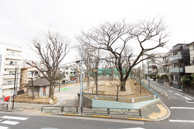 神明公園ハイツ・文京の展望