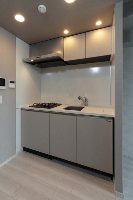 Ｔｅｒｒａ蚕糸の森のキッチン|※写真は同タイプ住戸です。