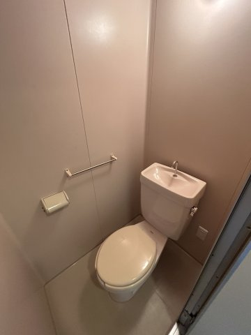 ドムール尼崎の洗面所