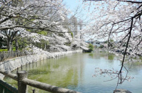 碑文谷公園まで404m