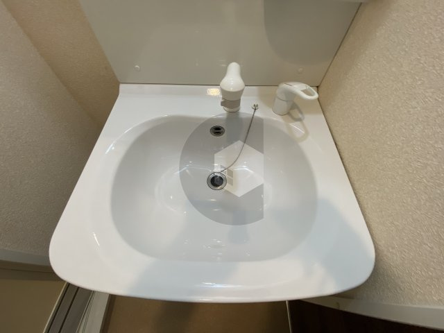Luxe布施北2の洗面所