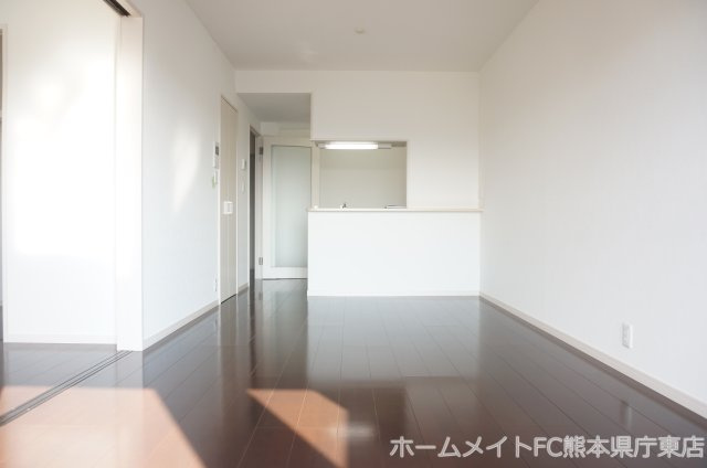 熊本市中央区新屋敷２丁目の賃貸マンションの居間・リビング