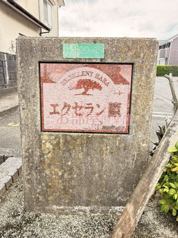 エクセラン原のその他