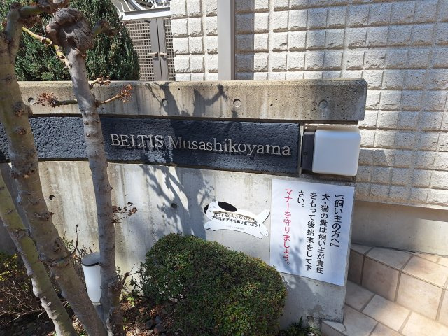 ベルティス武蔵小山のその他