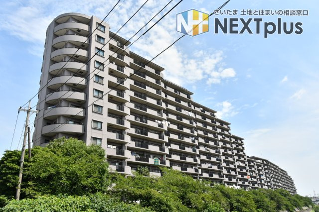 ラミーユ浦和ハイライズファースト・キャッスルの間取り|【新規リノベーション】南西向きで陽当たり良好！お子様の遊び場やガーデニングも楽しめるサンルーム付きで、戸建て感覚を楽しめます◎リビング続き間の洋室と合わせて広々お使い頂けます。