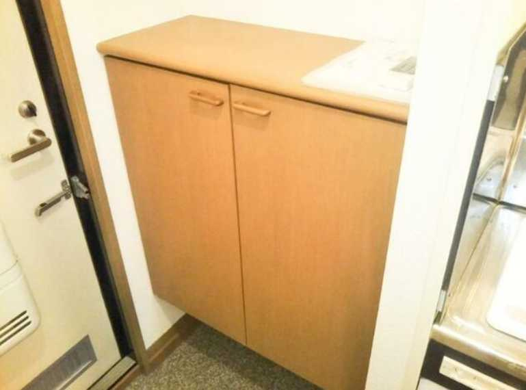 グレイス下北沢　南向き　角部屋　TVドアホンの収納