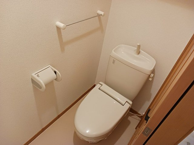 プラシードピアッツァⅣのトイレ