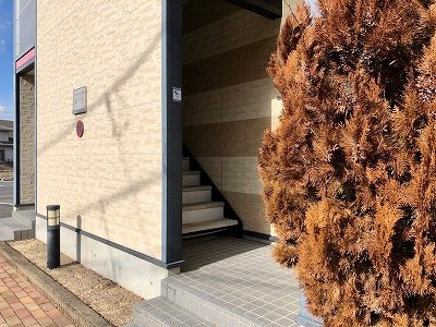 レオパレスマリモのその他