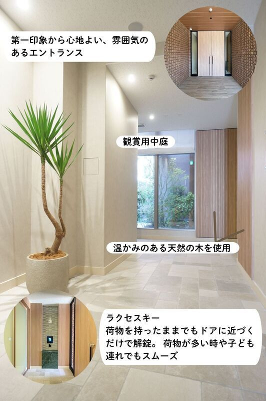 TONOクリスタル上人橋（トウノクリスタルショウニンバシ）の展望