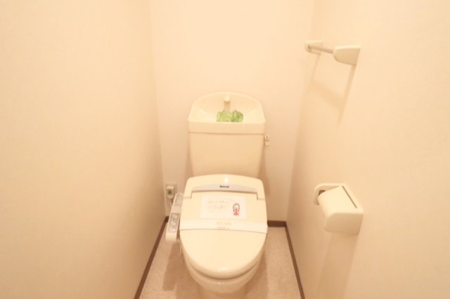 ブルースカイのトイレ