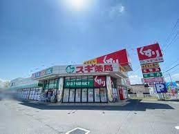 フロンティアの周辺|スギ薬局衣川店まで666ｍ