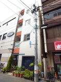 aリリックコートファルコンの画像
