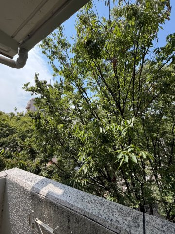 クレセント公光の展望