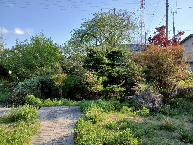 東松山市大字毛塚中古戸建の庭