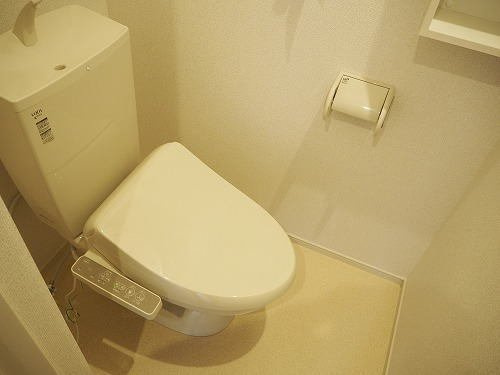 カーサ　セレーナＢのトイレ