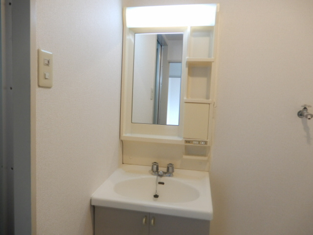 メーゾントリイの洗面所