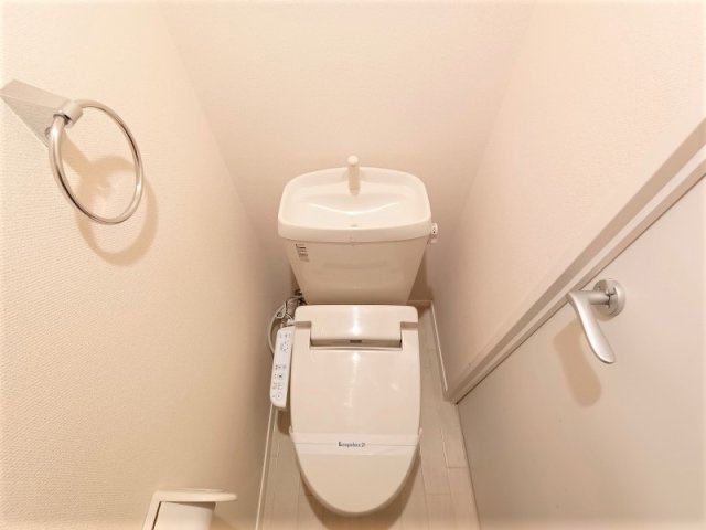 レオネクストウッドのその他|トイレスペースです。