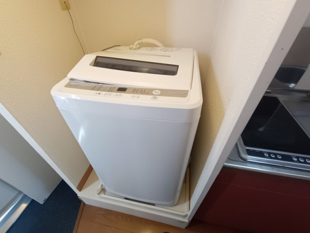 レオパレスフラワリーのその他|室内洗濯機置き場です。