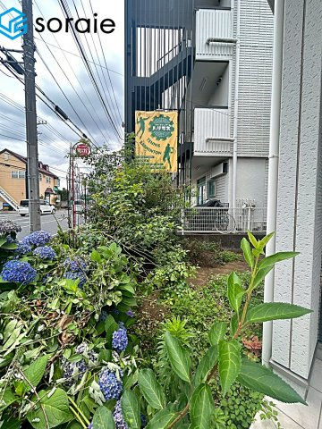 所沢市東狭山ケ丘１丁目　中古戸建の庭|2026/6/23 撮影
