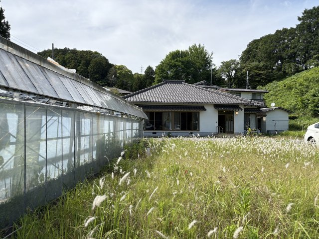 下田市　白浜の庭