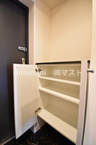 シティヒルズ安堂寺の玄関