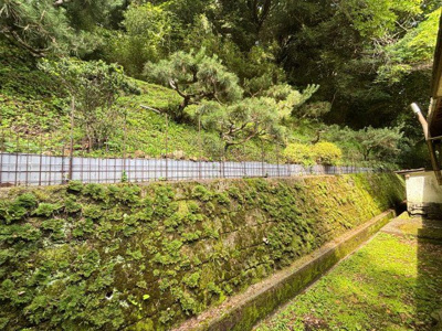 【庭】 | 賀茂郡南伊豆町蝶ケ野　太陽光発電　5LDK
