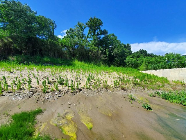 新潟市西区大野の土地図