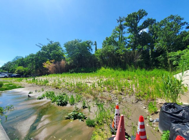 新潟市西区大野の土地図