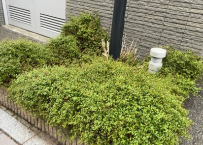 【外観】 | レクセルマンション本厚木 | 庭のある家に住むことのメリットとして、子どもたちの遊び場を確保できること、ガーデニングや家庭菜園を楽しめること、明るさを確保できることがあります。また、配置を工夫することでプライバシーが確保できます。