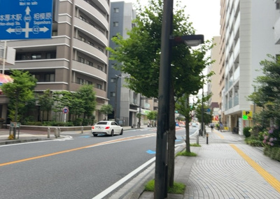 【展望】 | レクセルマンション本厚木 | 桜や紅葉の名所に出かける人は多いと思いますが、家にいながら季節の移ろいを感じる生活を送りませんか？リビングや窓から見える景色が生活を彩るワンポイントに！現地から見える景色を堪能してみては如何でしょう。