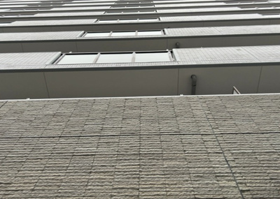 【外観】 | レクセルマンション本厚木 | 庭があることでガーデニングや家庭菜園はもちろん、こどもの遊び場やペットを放して遊ぶことができます。また、家の周囲に余裕があるということです。隣地との間があれば、十分な日当たりと、風通しが確保できます。