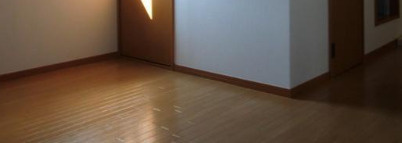 シティパル