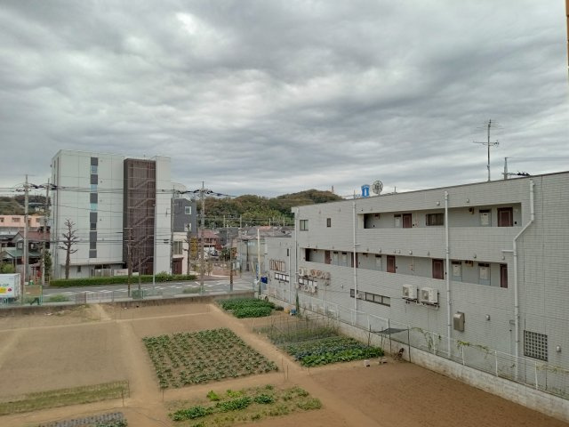 川崎市多摩区菅４丁目の賃貸マンションの展望