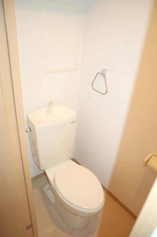 泉北郡忠岡町馬瀬１丁目の賃貸マンションのトイレ|コンパクトで使いやすいトイレです