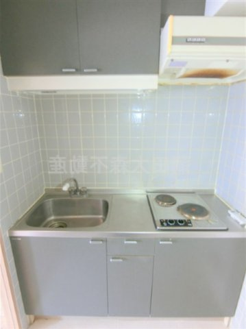 シティオ多摩川のキッチン|2口キッチン　