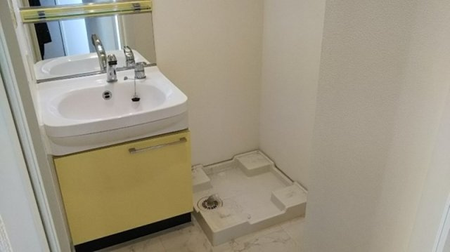 プレサンス本駒込アカデミアの洗面所