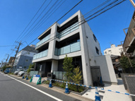 Ｗｉｓｔｅｒｉａ　Ｍ１の画像