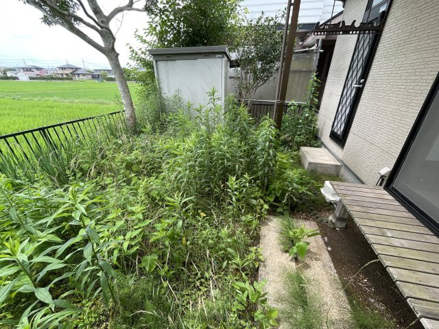 東金市菱沼中古戸建の庭