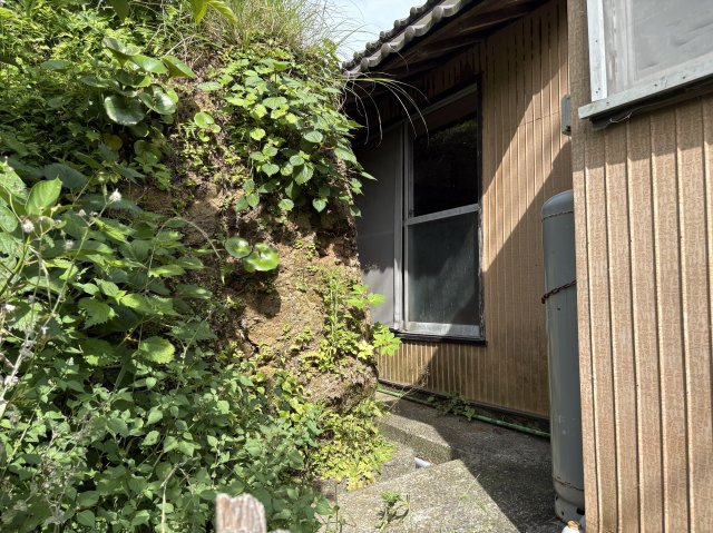 下田市　白浜の庭