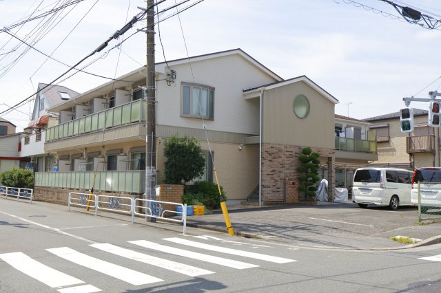 リリックコートサンフラワー