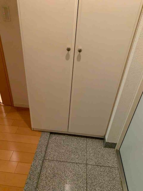 ライトコート四谷の玄関|大きなシューズボックス 