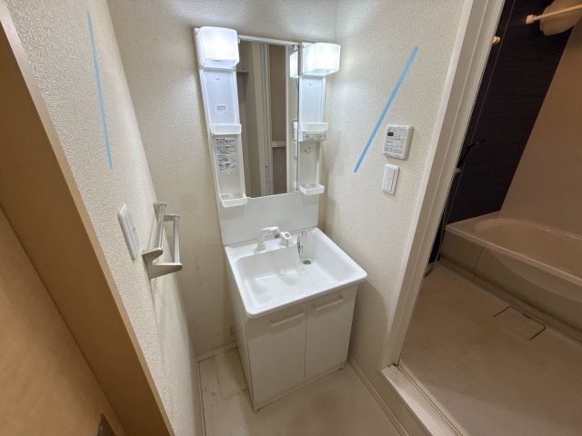 ヴィラーチェ尾上の洗面所