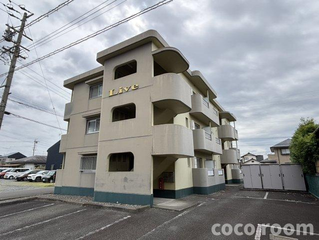リブの外観