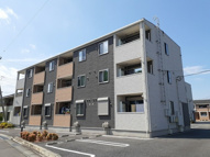 サンムーン　ゴールドスター　１の画像