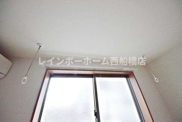 ソレイユイナゲのその他